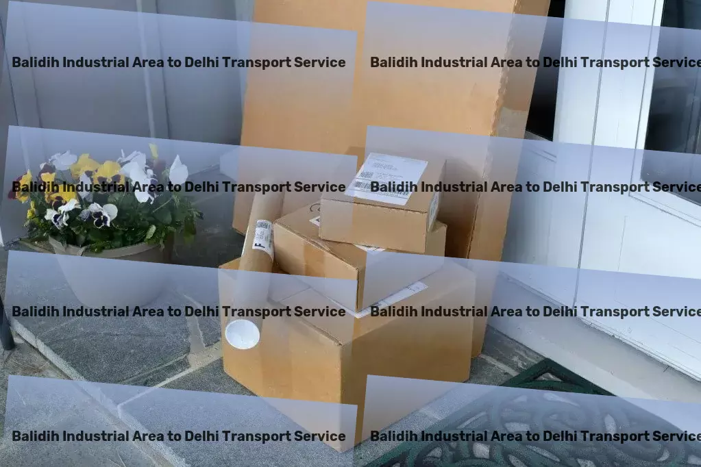 Balidih Industrial Area to Delhi Transport Maximize your travel experiences with our expertise! - Fast goods transport solutions