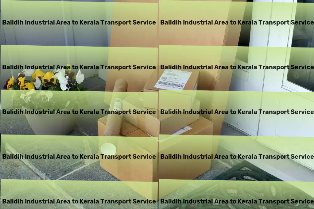 Balidih Industrial Area to Kerala Transport Regional truckload transport