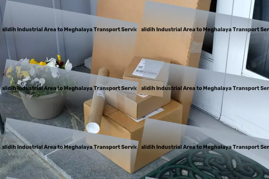 Balidih Industrial Area to Meghalaya Transport Multi-regional goods shipment