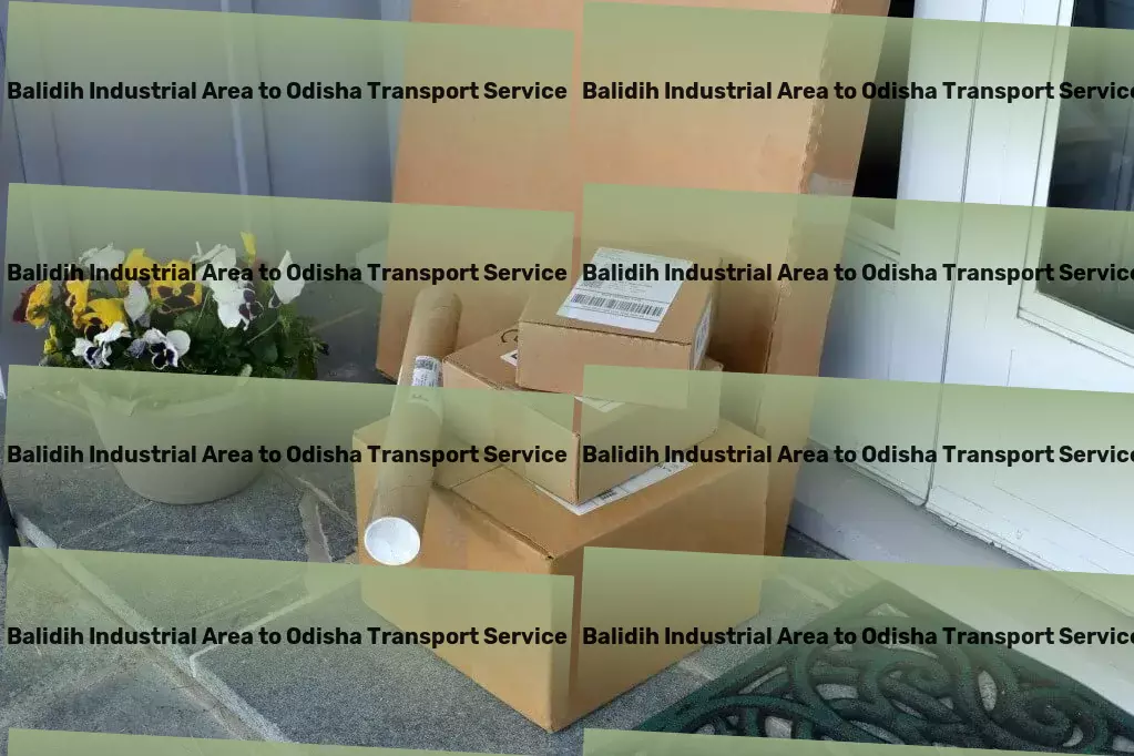 Balidih Industrial Area to Odisha Transport Stay connected in remote locations with innovative solutions! - Domestic freight services