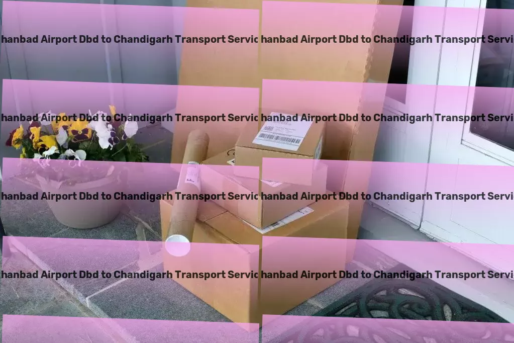 Dhanbad Airport Dbd to Chandigarh Transport Domestic freight services