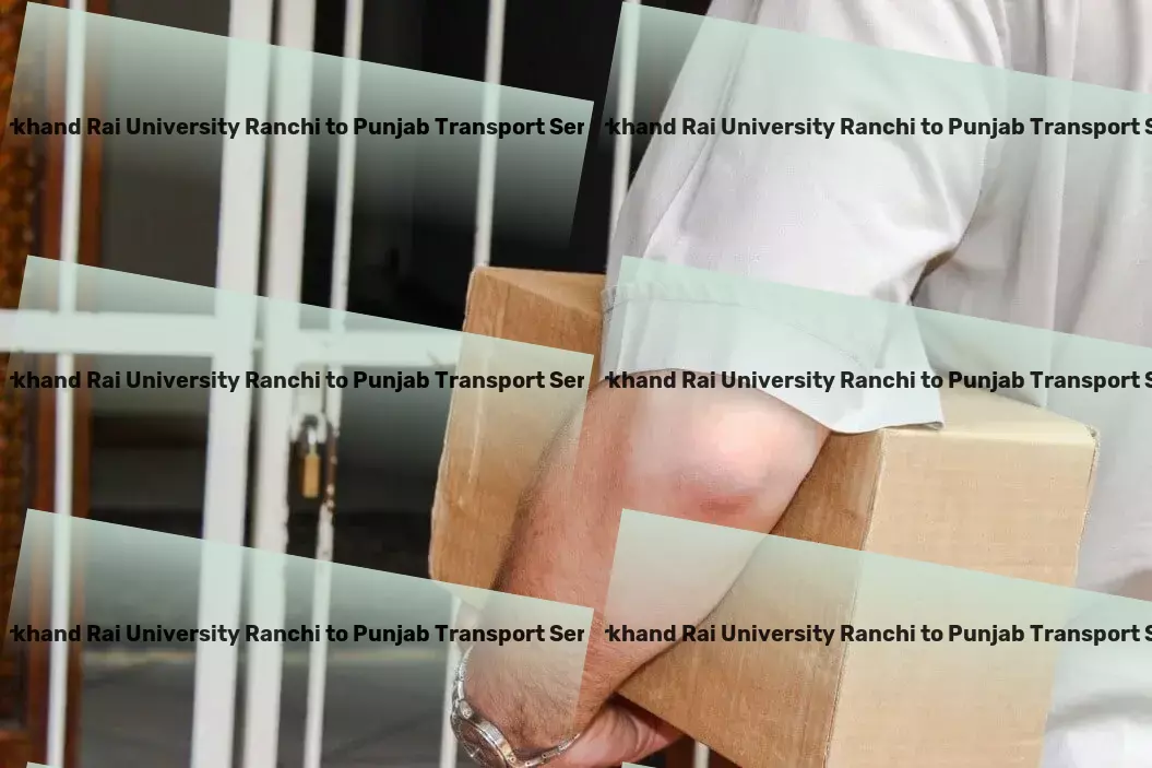 Jharkhand Rai University Ranchi to Punjab Transport Professional courier operations