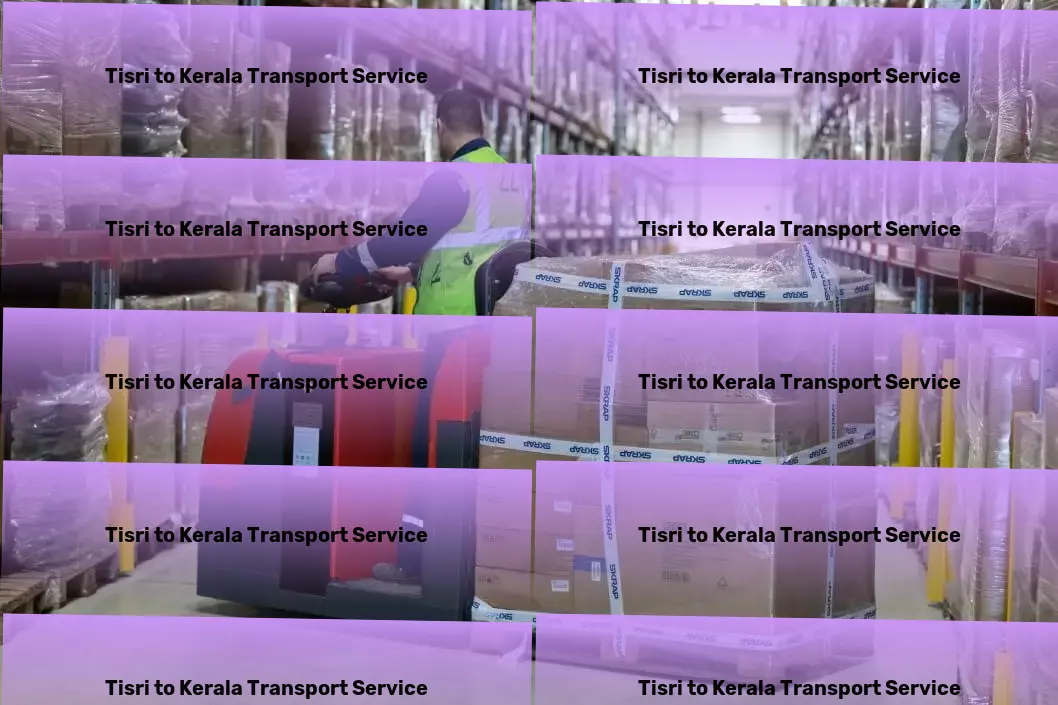 Tisri to Kerala Transport Customized freight and shipment solutions