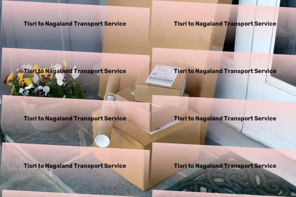 Tisri to Nagaland Transport Where excellence meets exploration! - Rapid truckload shipping