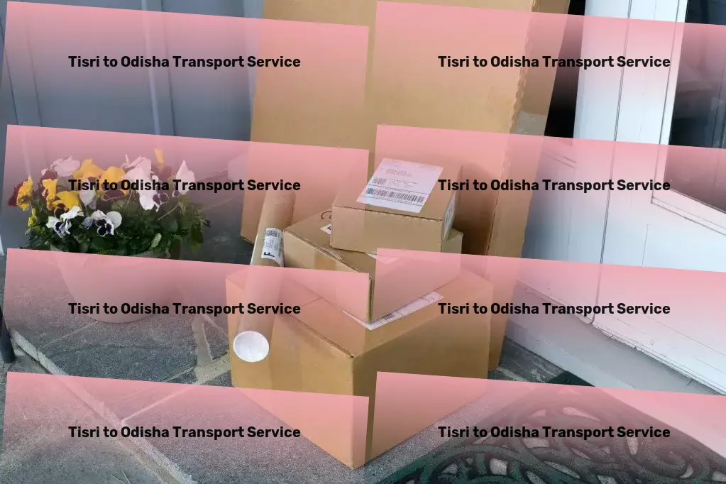 Tisri to Odisha Transport Real-time tracking services