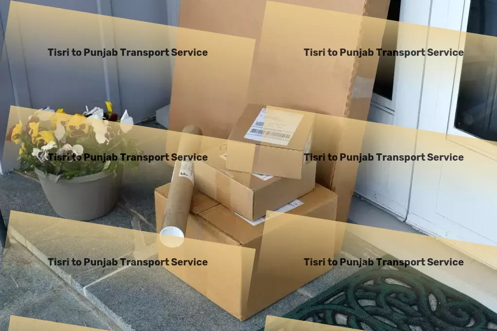 Tisri to Punjab Transport Long-distance moving solutions