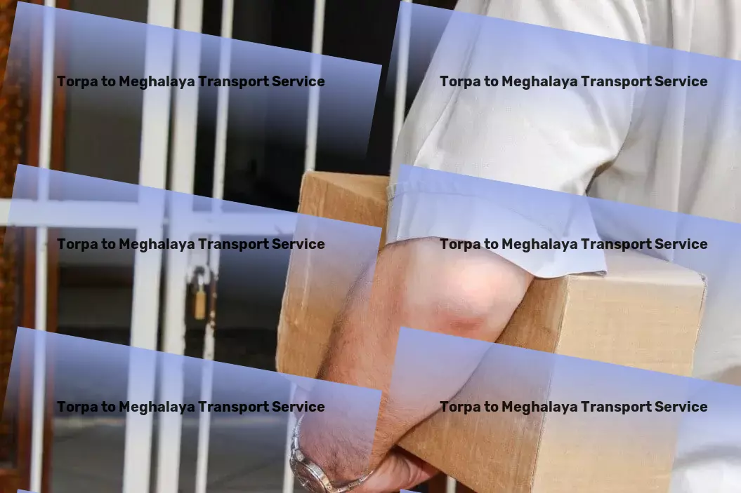 Torpa to Meghalaya Transport Efficient energy management for a sustainable future! - Personal parcel delivery