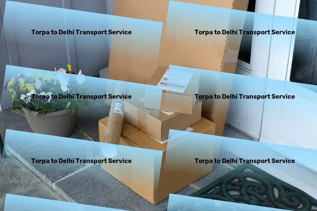 Torpa to Delhi Transport Advanced goods solutions