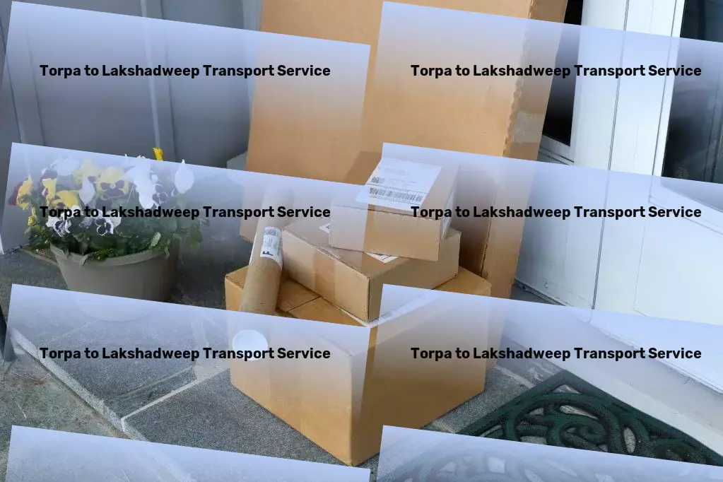 Torpa to Lakshadweep Transport Enhance your pet's well-being and happiness! - Nationwide freight moving