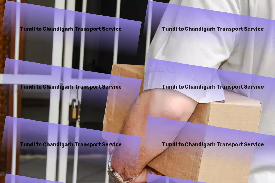 Tundi to Chandigarh Transport Transforming travel into a seamless experience! - Specialized package logistics