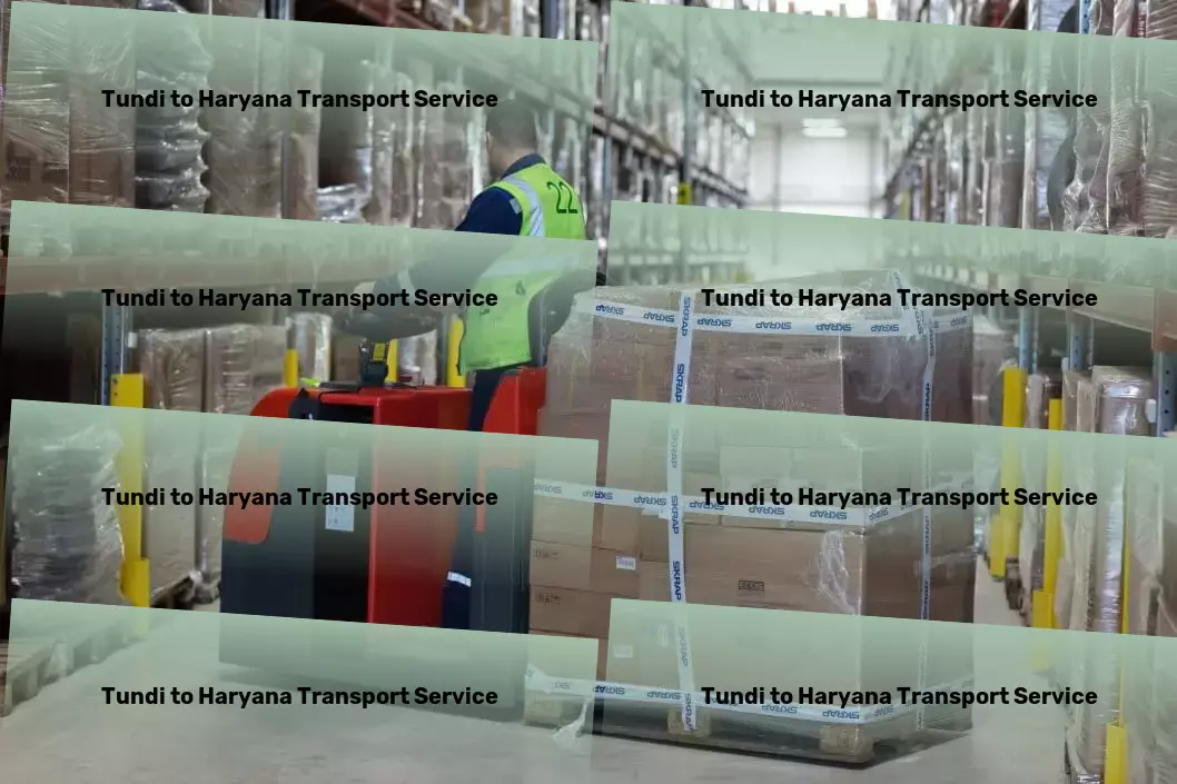 Tundi to Haryana Transport Large item freight services