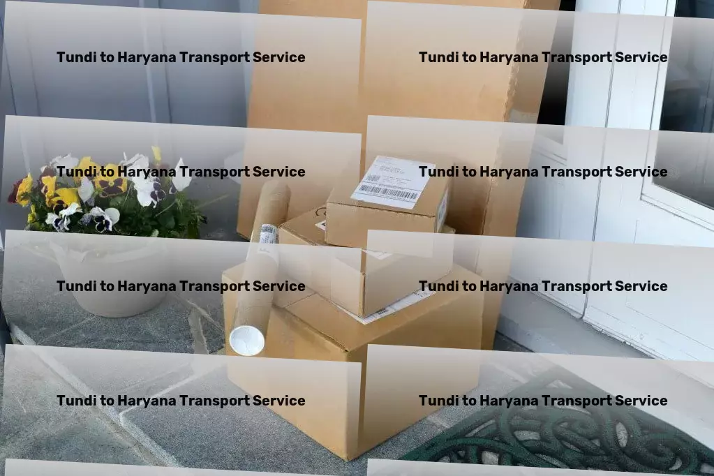 Tundi to Haryana Transport Efficiency at its best - transporting goods across India made easy! - Logistics management