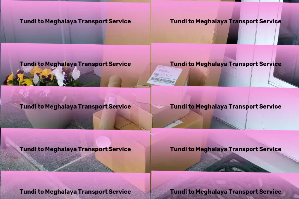 Tundi to Meghalaya Transport Furniture transport operations